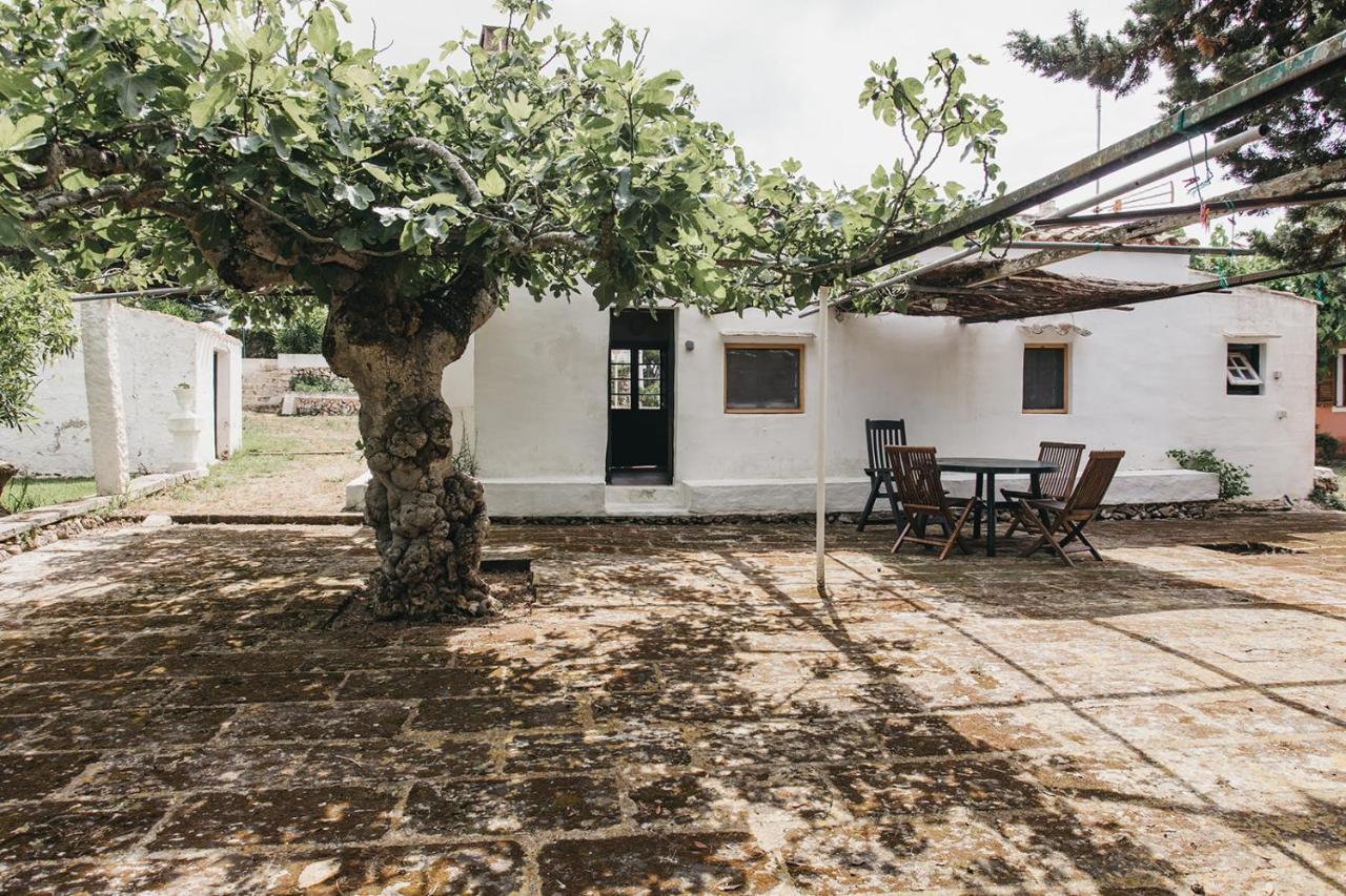 Agroturismo Son Triay Ferreries Exterior photo